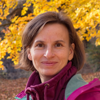 Prof. Dr. Anett Platte