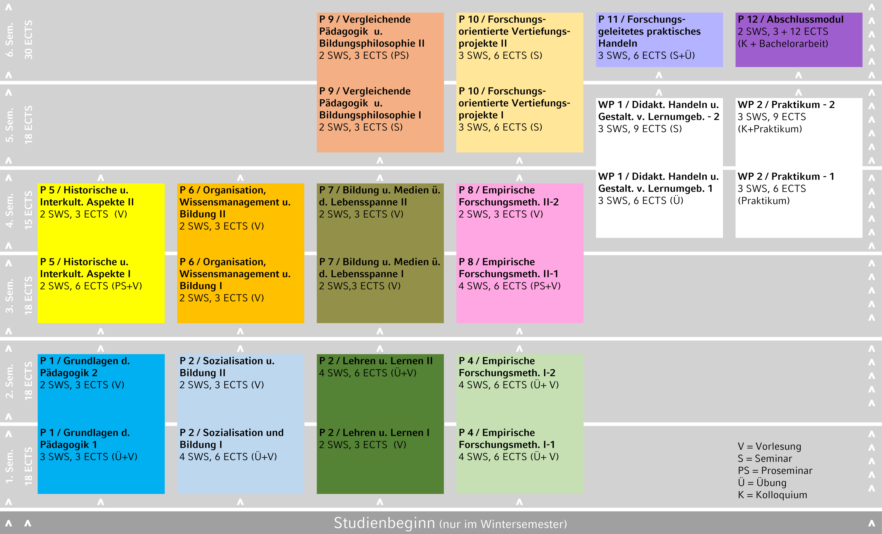 Studienplan Pädagogik Bachelor aktuell